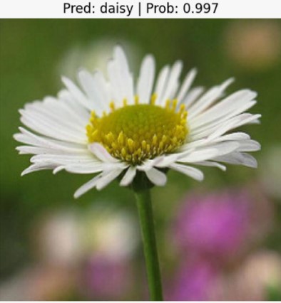 Flower Image Classification